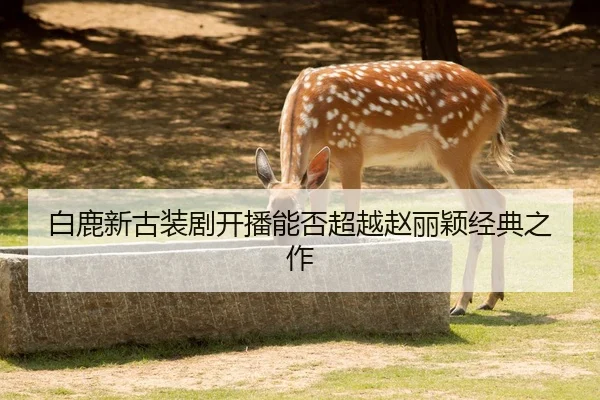 bai-lu-xin-gu-zhuang-ju-kai-bo-neng-fou-chao-yue-zhao-li-ying-jing-dian-zhi-zuo-2-511.jpg